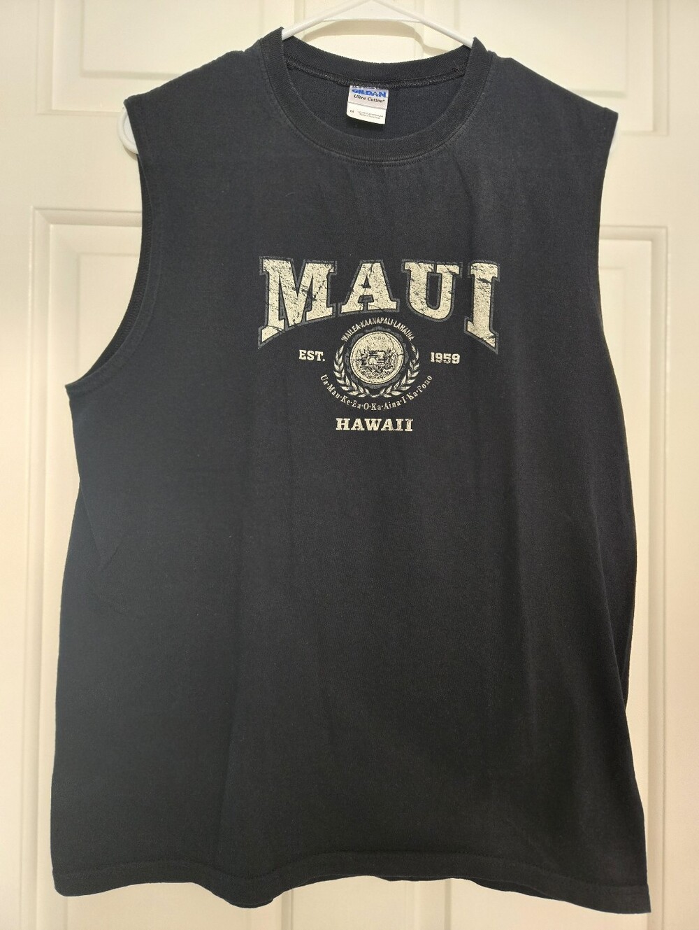 Bundle Of Two Vintage Hawaii Graphic Cutoff Tees